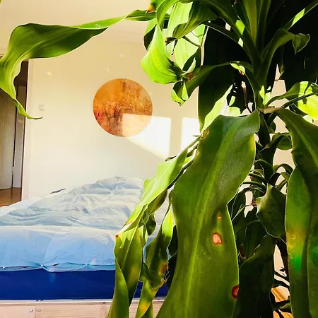 Διαμέρισμα Ruheoase Im Herzen Von